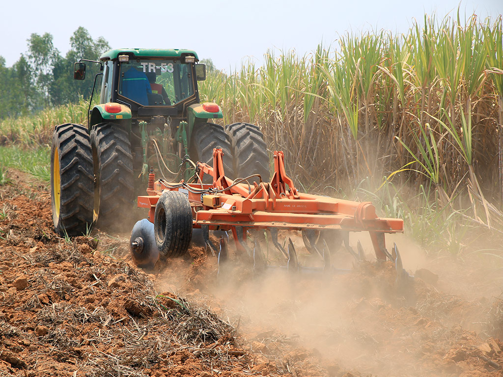 Preparo e Manejo do Solo no cultivo da Cana-de-Açúcar