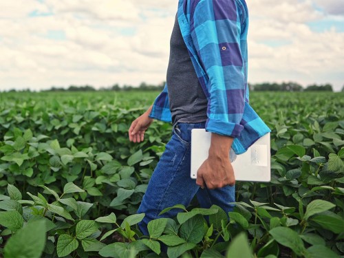 Como Diminuir Custos da Lavoura de Soja com Gestão Agrícola