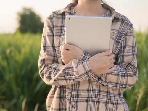 Melhorar Produtividade dos Canaviais com Software de Gestão