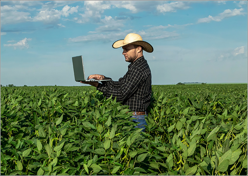 Produtor Rural Vendo Plano de Contas