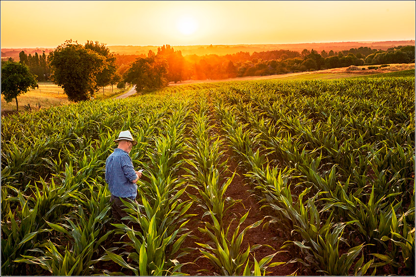 Software para Produtor Rural