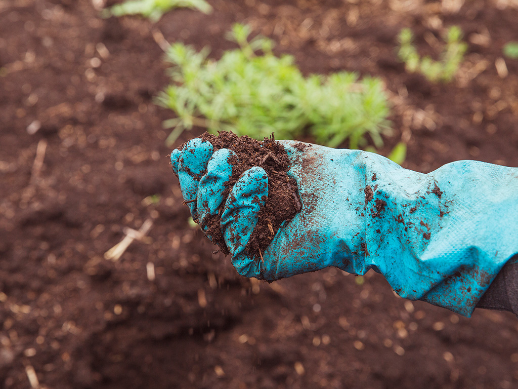 Matéria Orgânica do Solo e sua importância para a fazenda