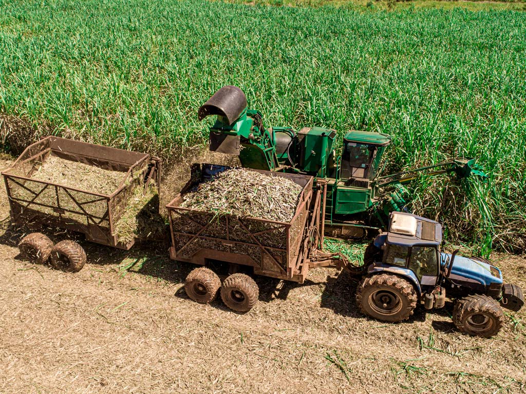 Máquinas e Implementos Agrícolas na Colheita da Cana-de-Açúcar